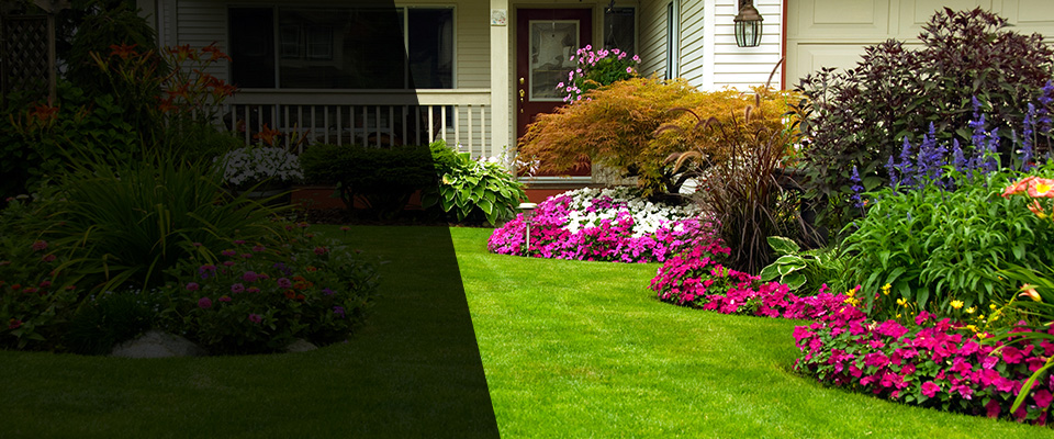Blue Grass Landscapers