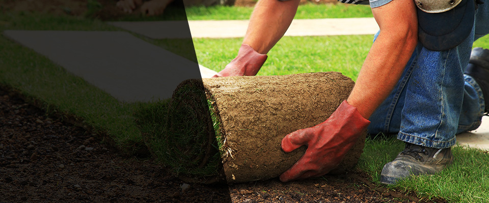 Blue Grass Landscapers